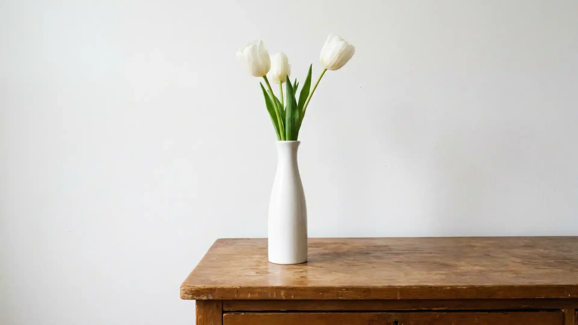 slim white ceramic vase with three white tulip stems on wooden dresser against white wall