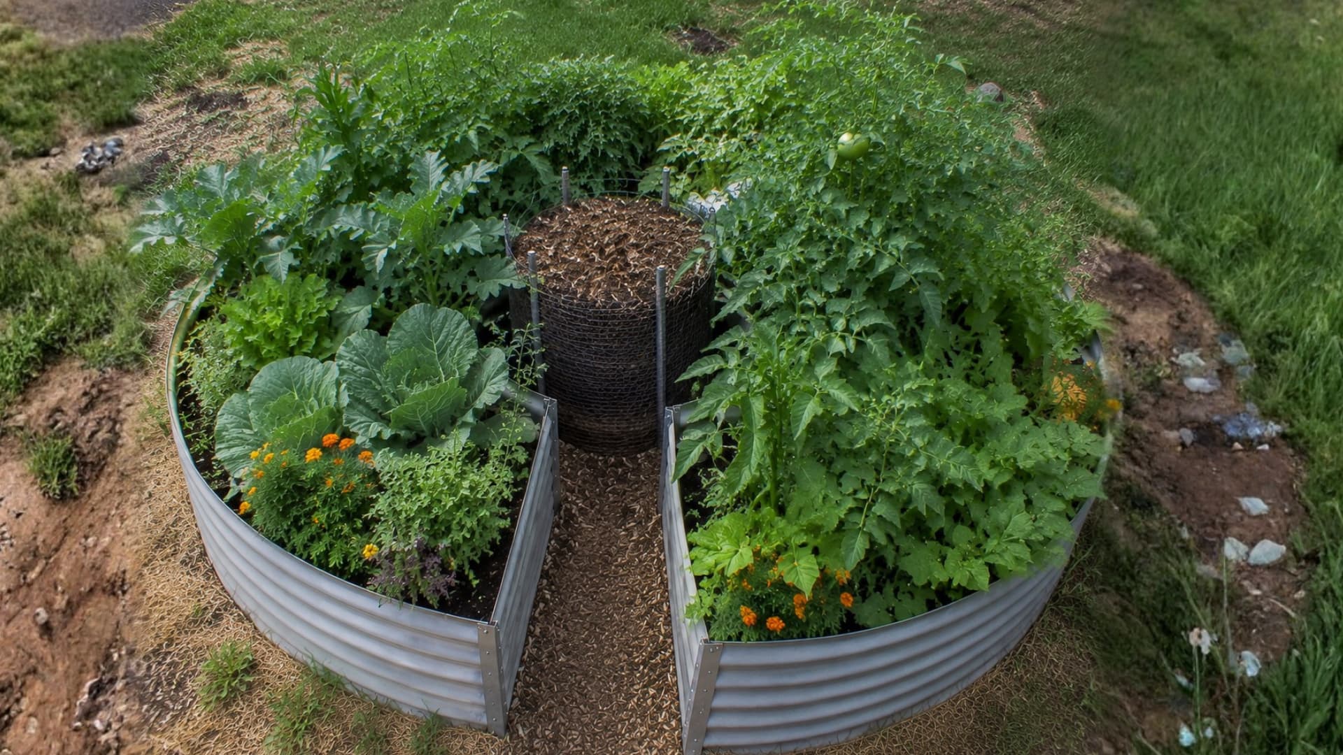 a circular raised garden bed with a narrow center access path and dense vegetable growth
