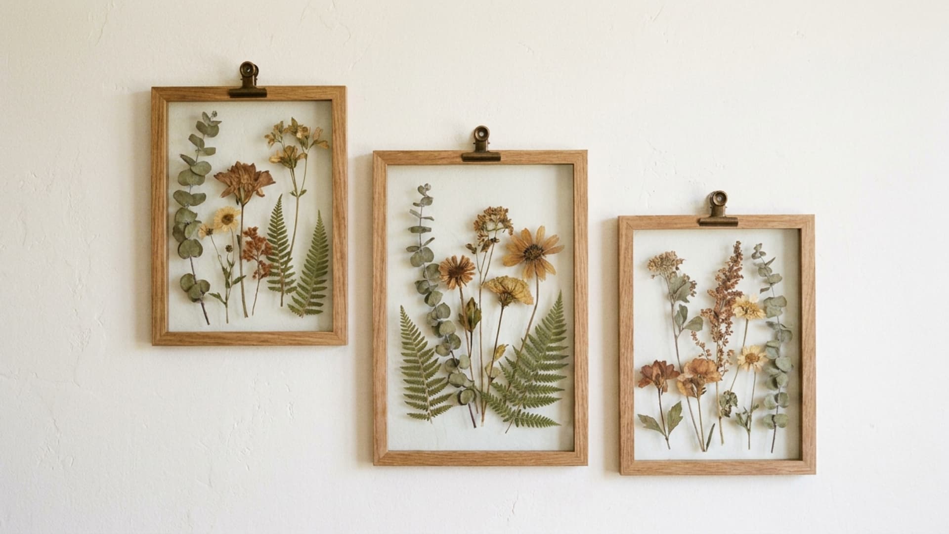 dried botanicals in clip frames with eucalyptus and fern specimens on warm white wall