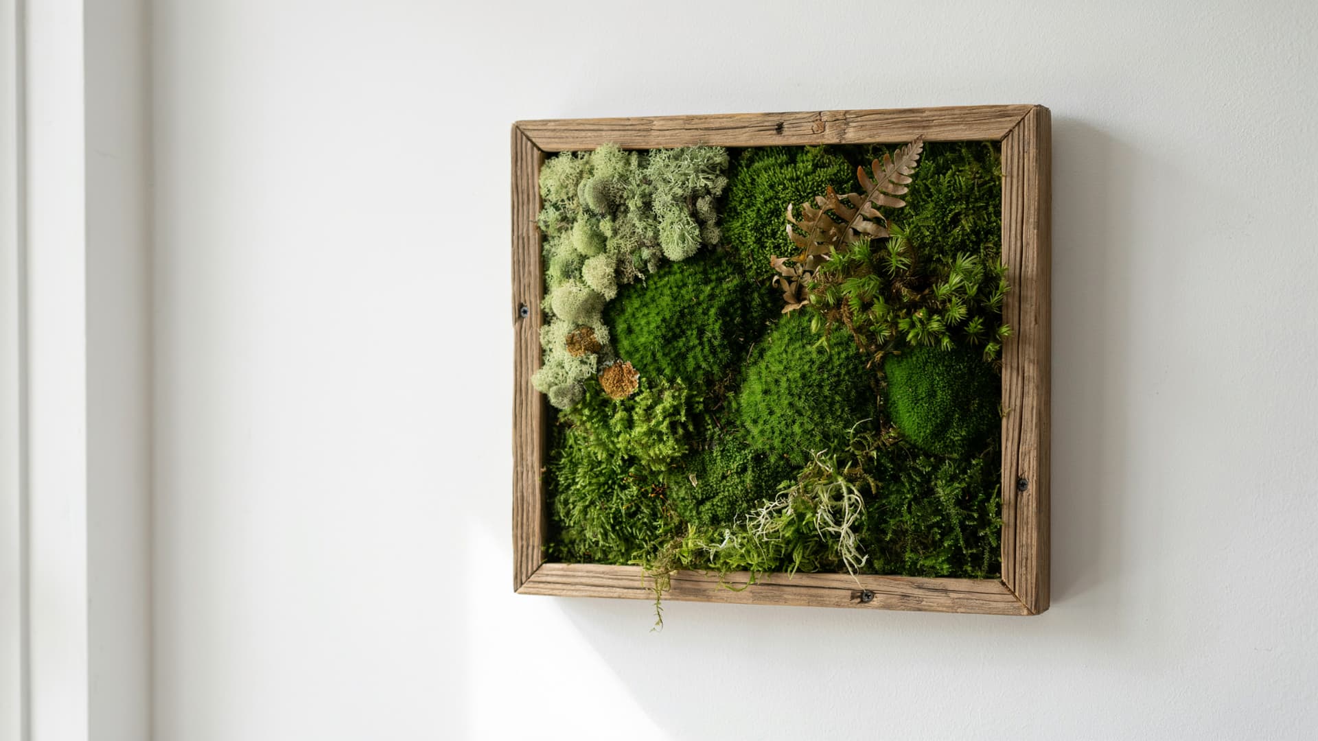 living moss wall panel in rich green tones mounted in wooden frame on white wall