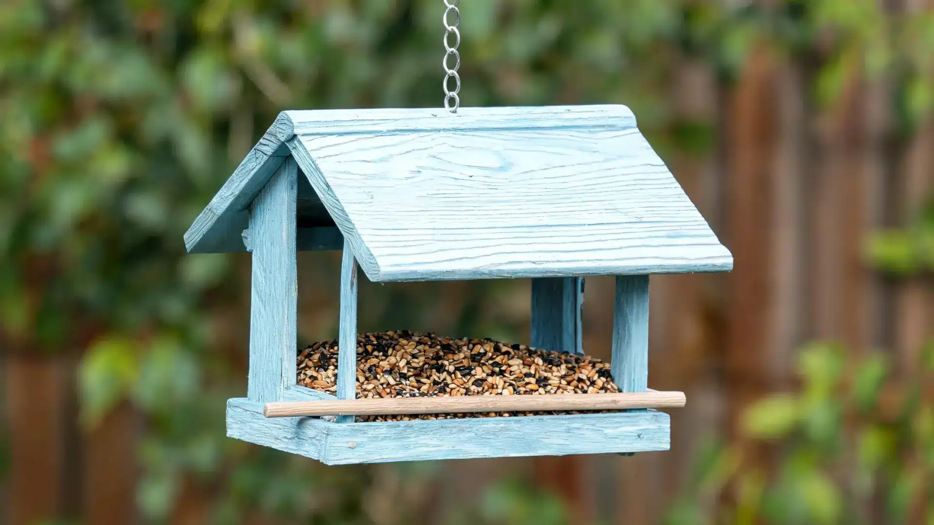 blue wooden diy bird feeder filled with seeds, hanging in a lush backyard garden