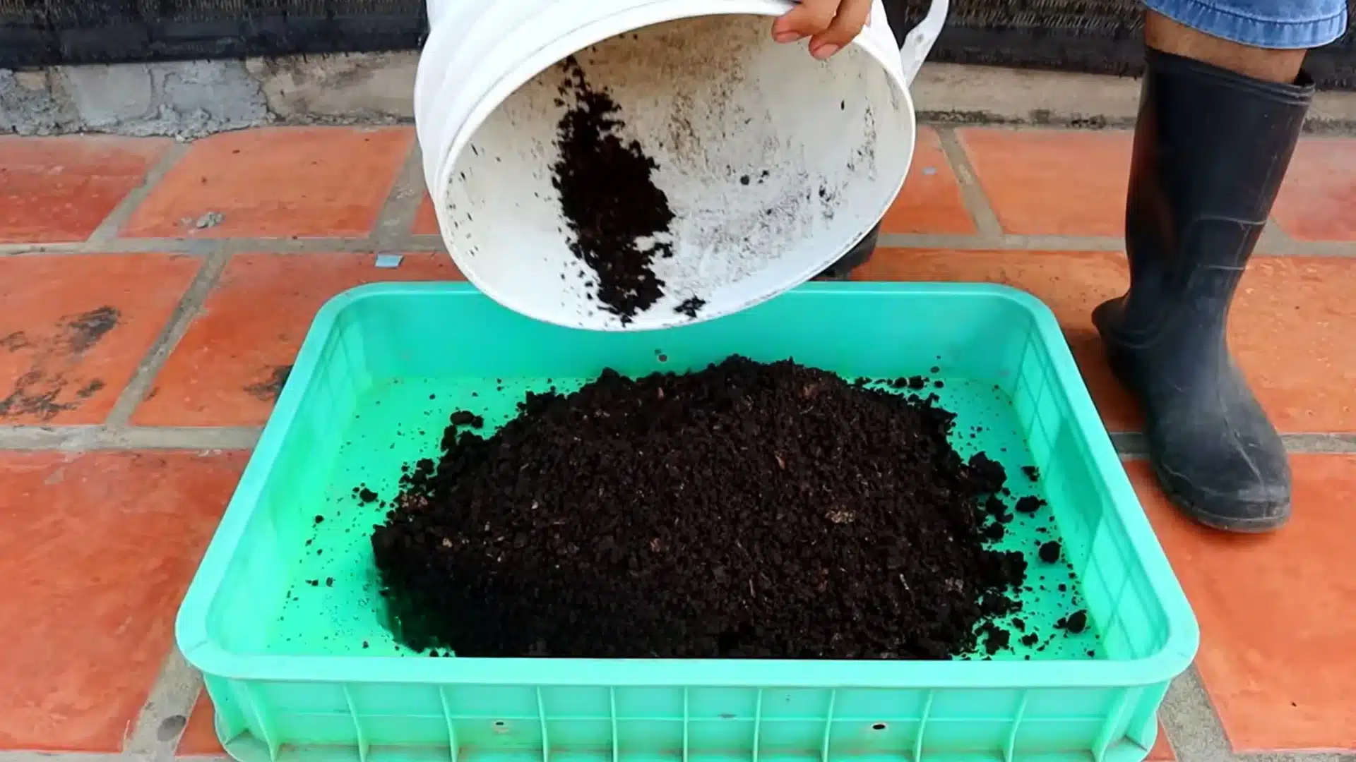 finished dark compost being collected from a bucket for use as garden fertilizer