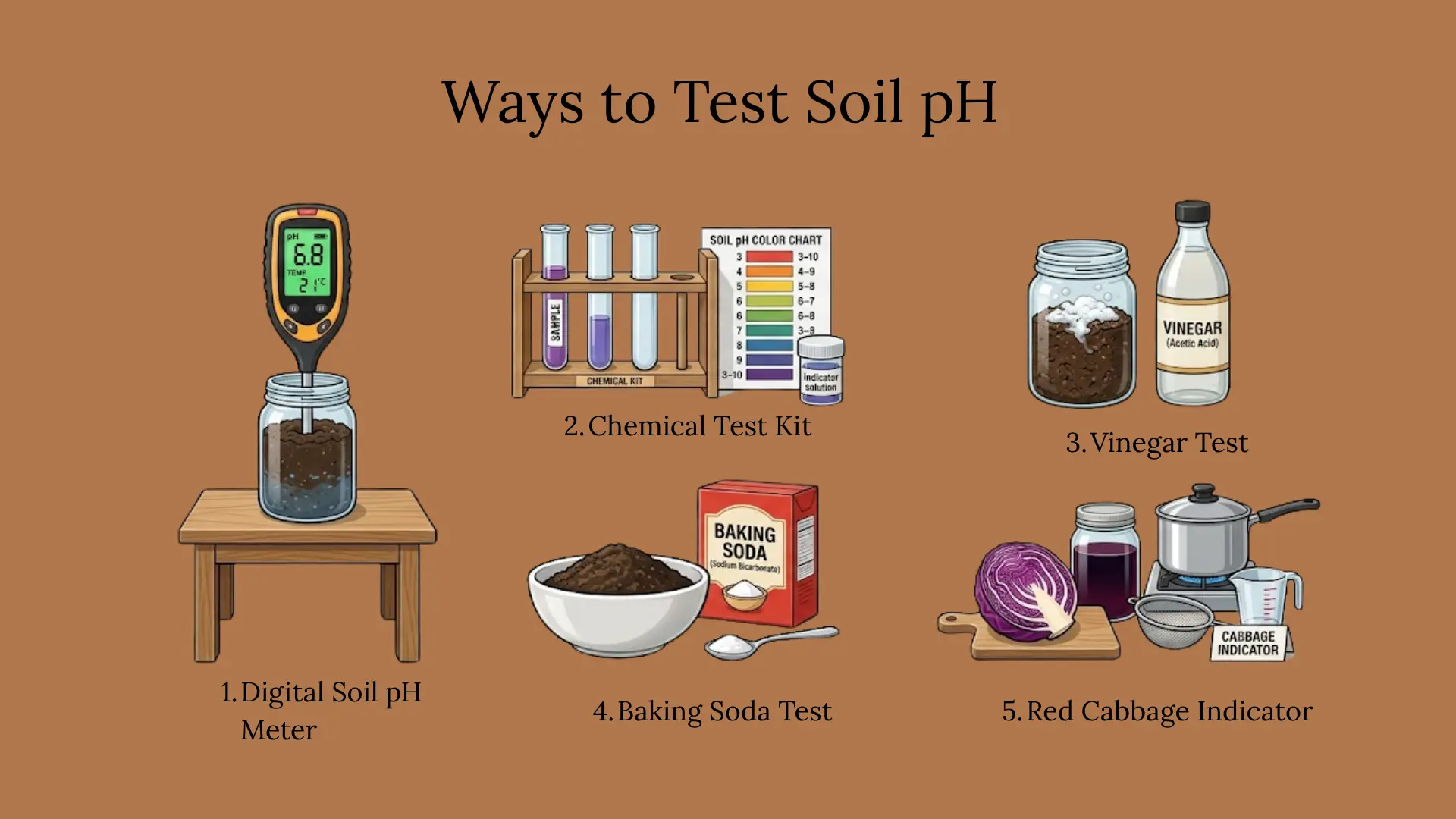 five ways to test soil pH at home using a meter, test kit, vinegar, baking soda, and cabbage