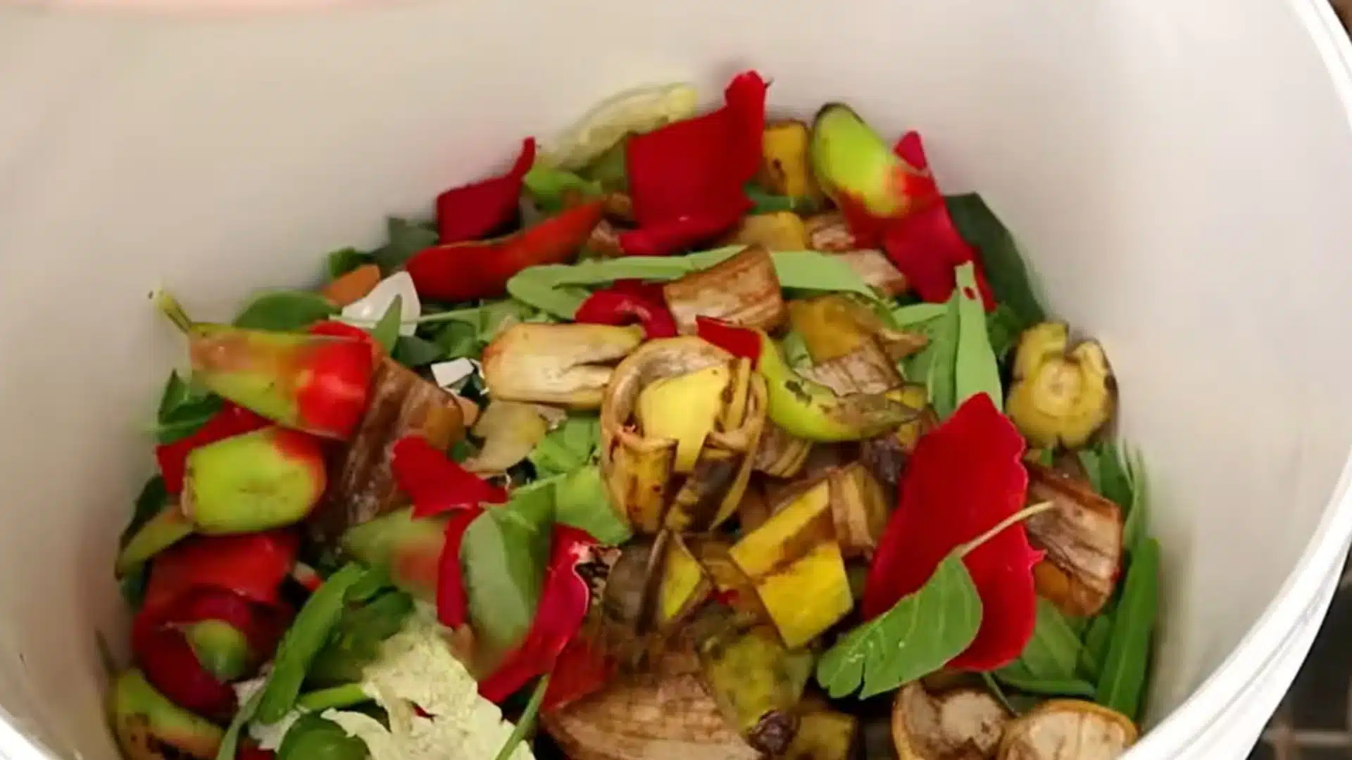 fresh kitchen scraps collected in a bucket for home composting