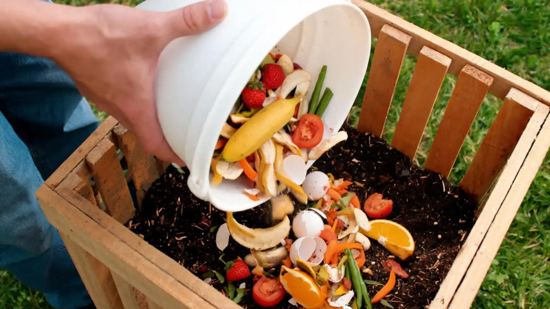 person dumping fruit peels, eggshells, and food scraps from a white bucket into a wooden compost bin