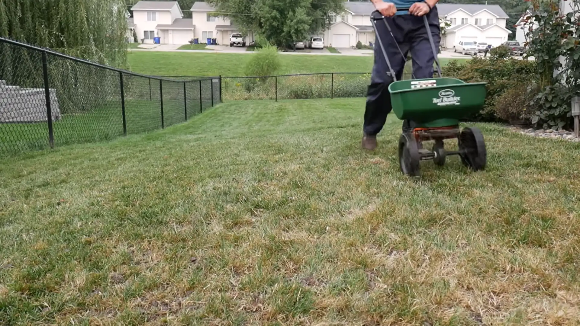 lawn core aerator creating soil plugs across compacted grass before overseeding begins