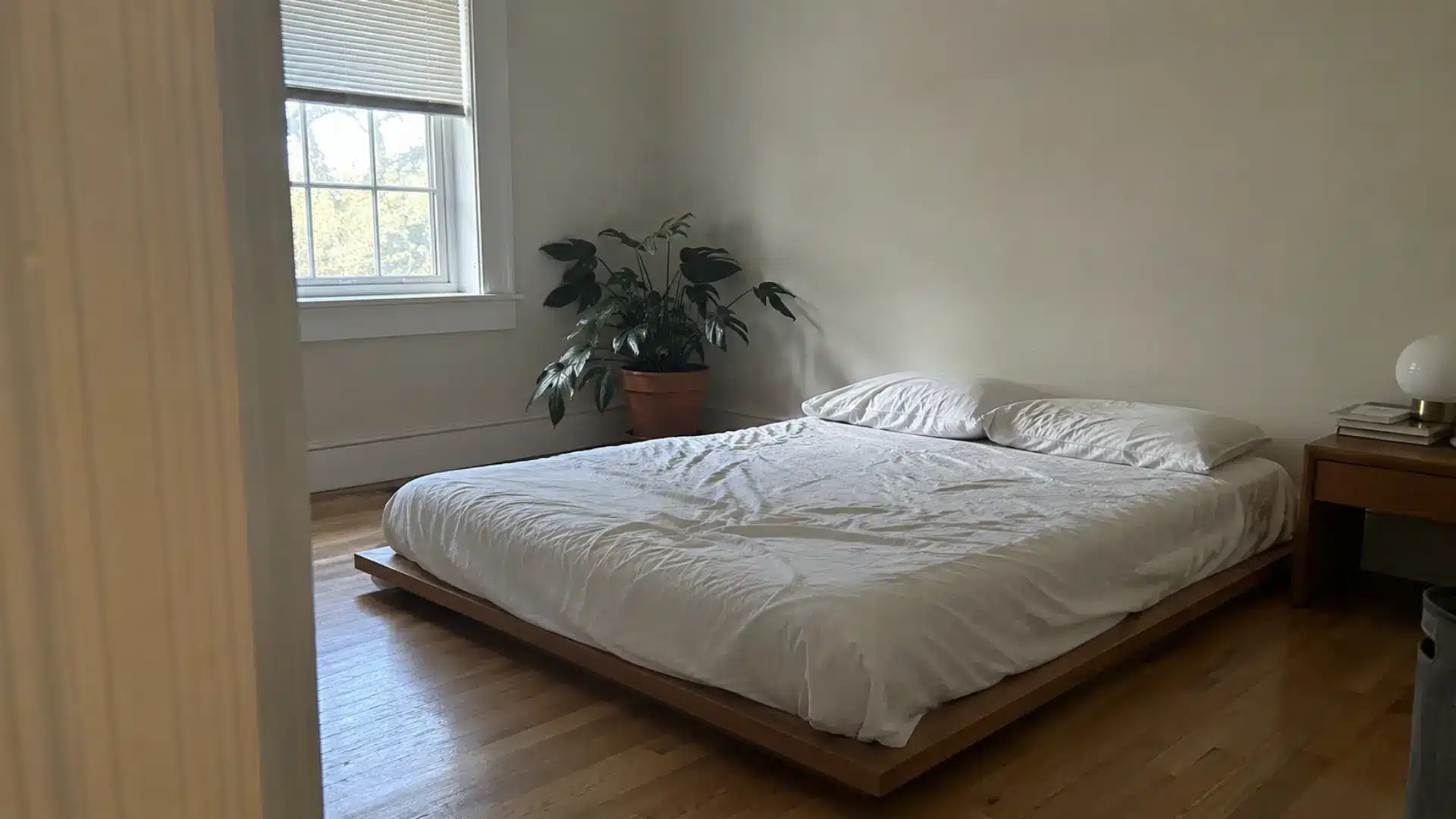 minimalist neutral bedroom with low wood platform bed and potted plant by window
