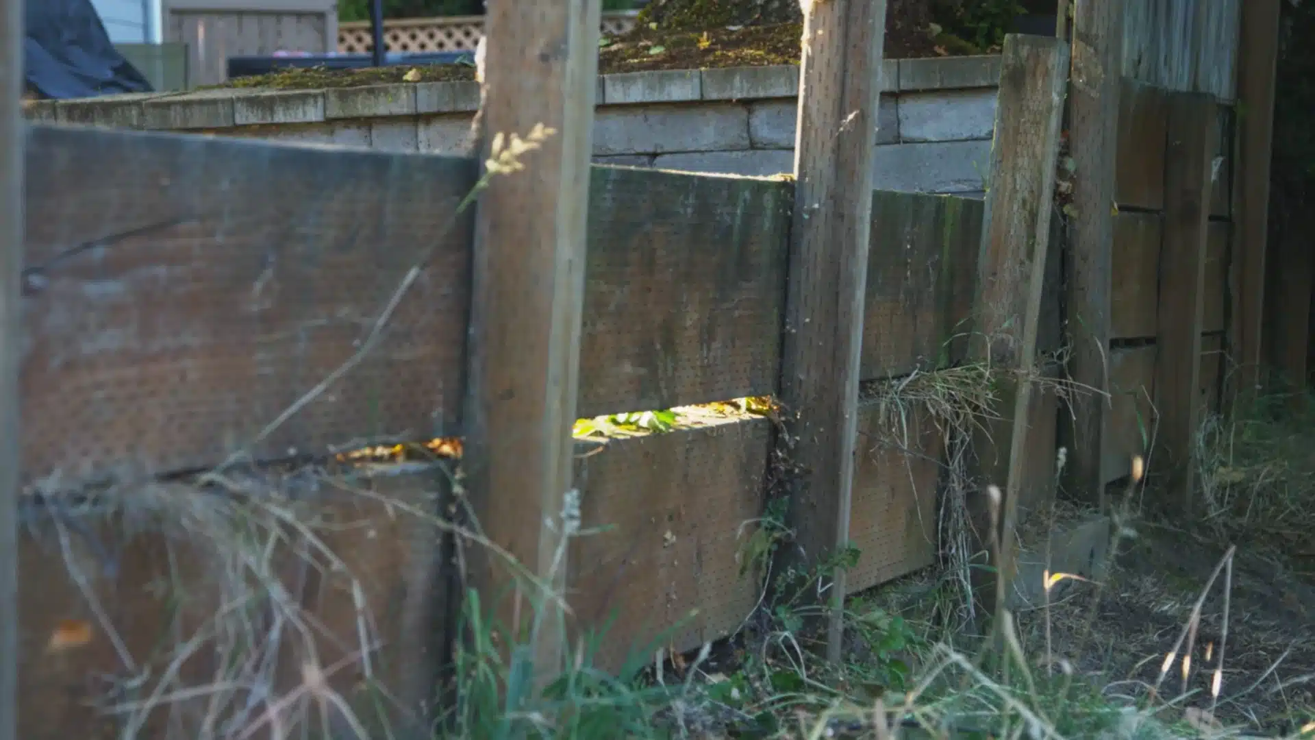old deteriorating wood retaining wall with visible gaps and overgrown vegetation