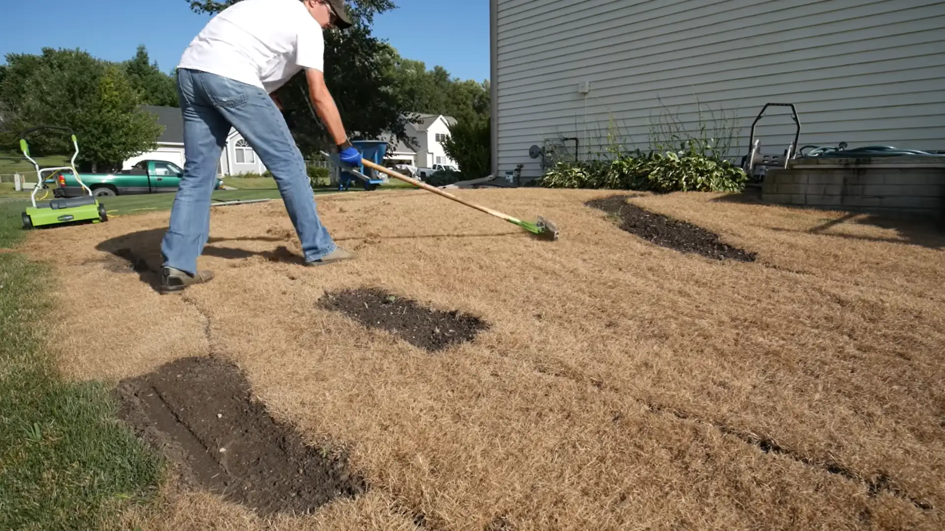 person raking dead grass and thatch from a lawn before spreading fresh grass seed