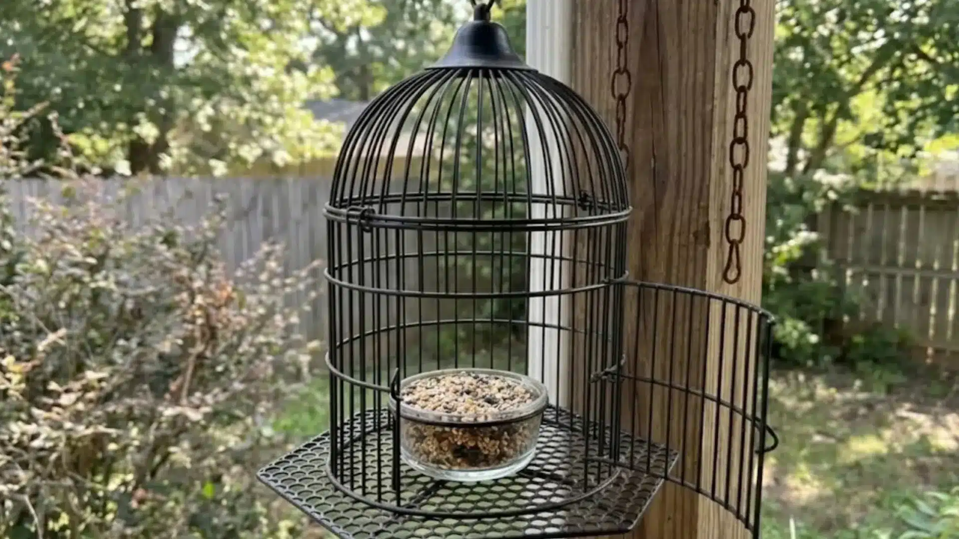 repurposed black birdcage used as a hanging feeder with a bowl of birdseed in a backyard