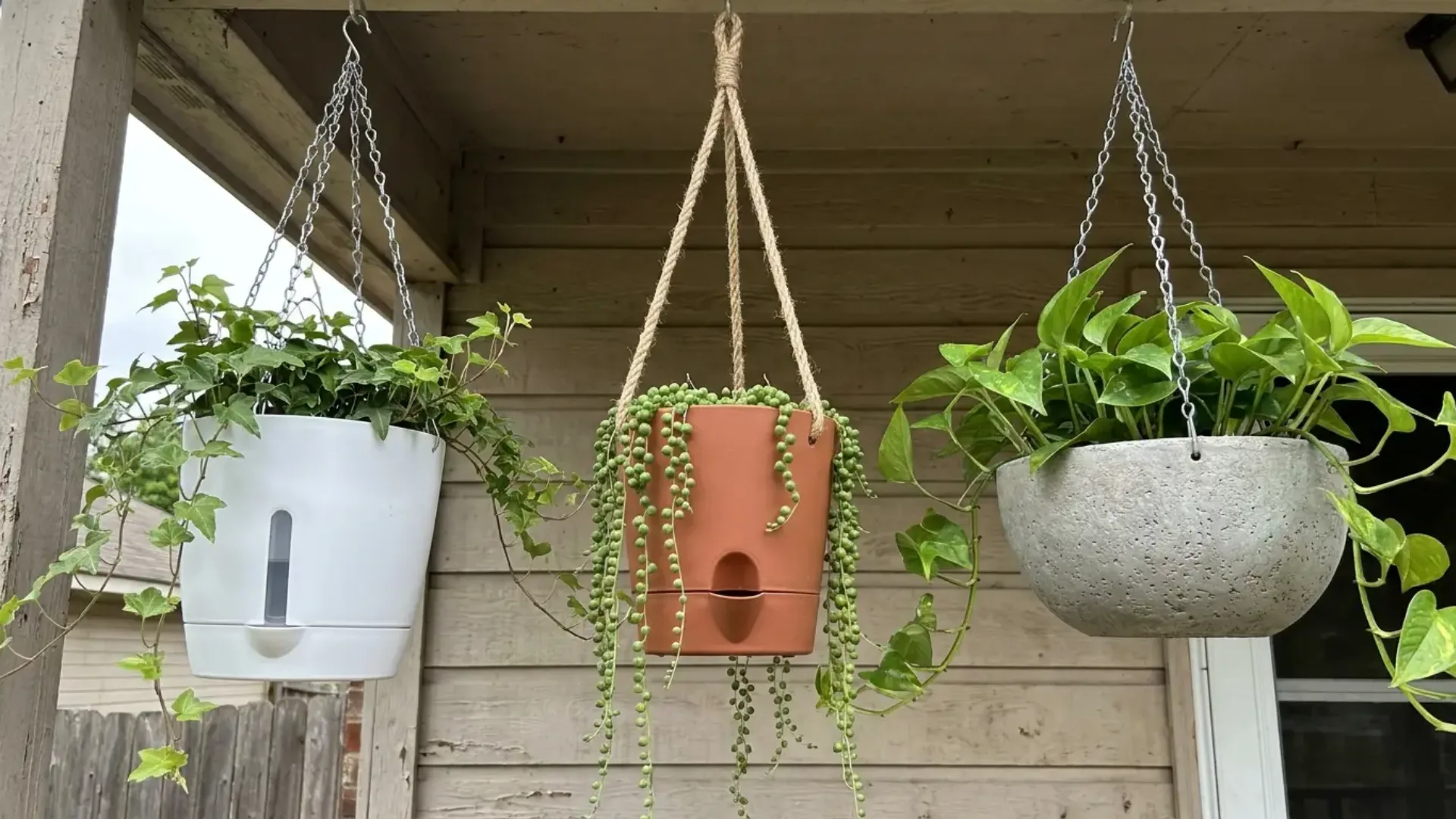 three self watering hanging planters with visible water indicators on a covered porch