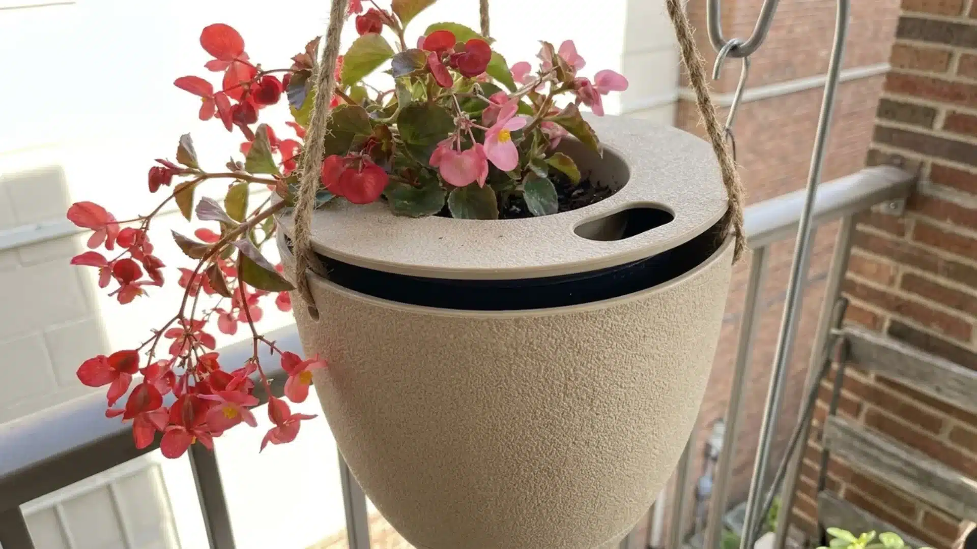 tan textured hanging planter with fill port and red begonias on a balcony