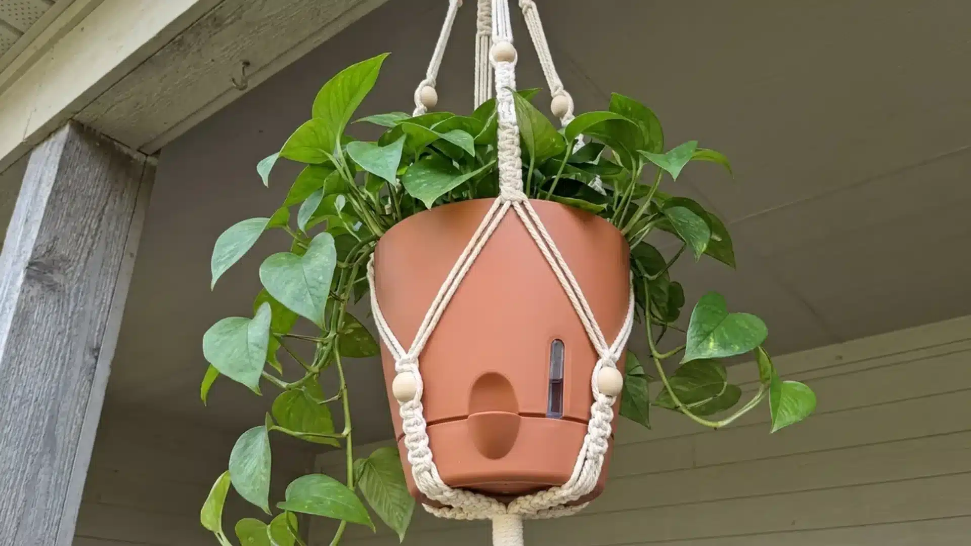 terra cotta self watering planter with visible indicator in macrame hanger outdoors