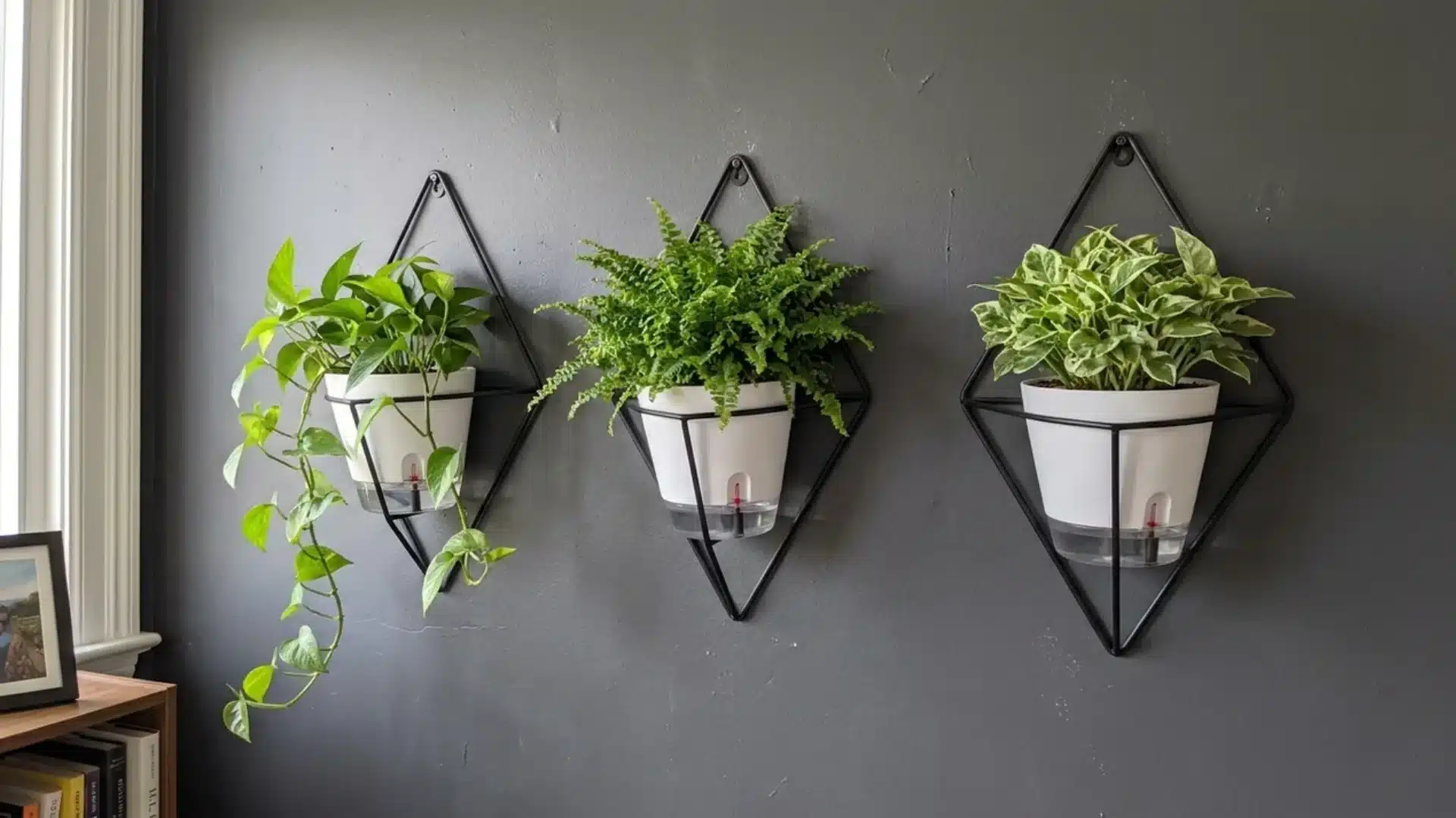 three geometric wall planters holding white self watering pots with indicators