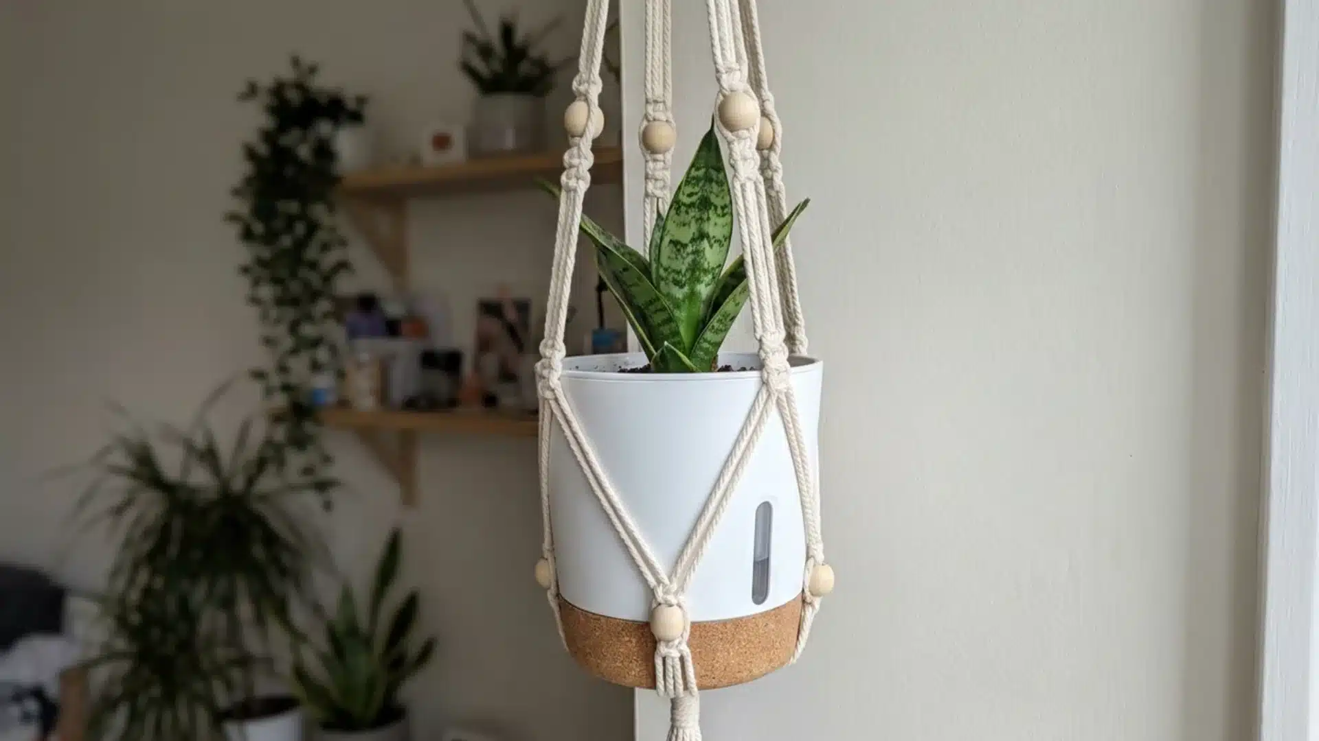white self watering pot with cork base and water indicator in macrame hanger