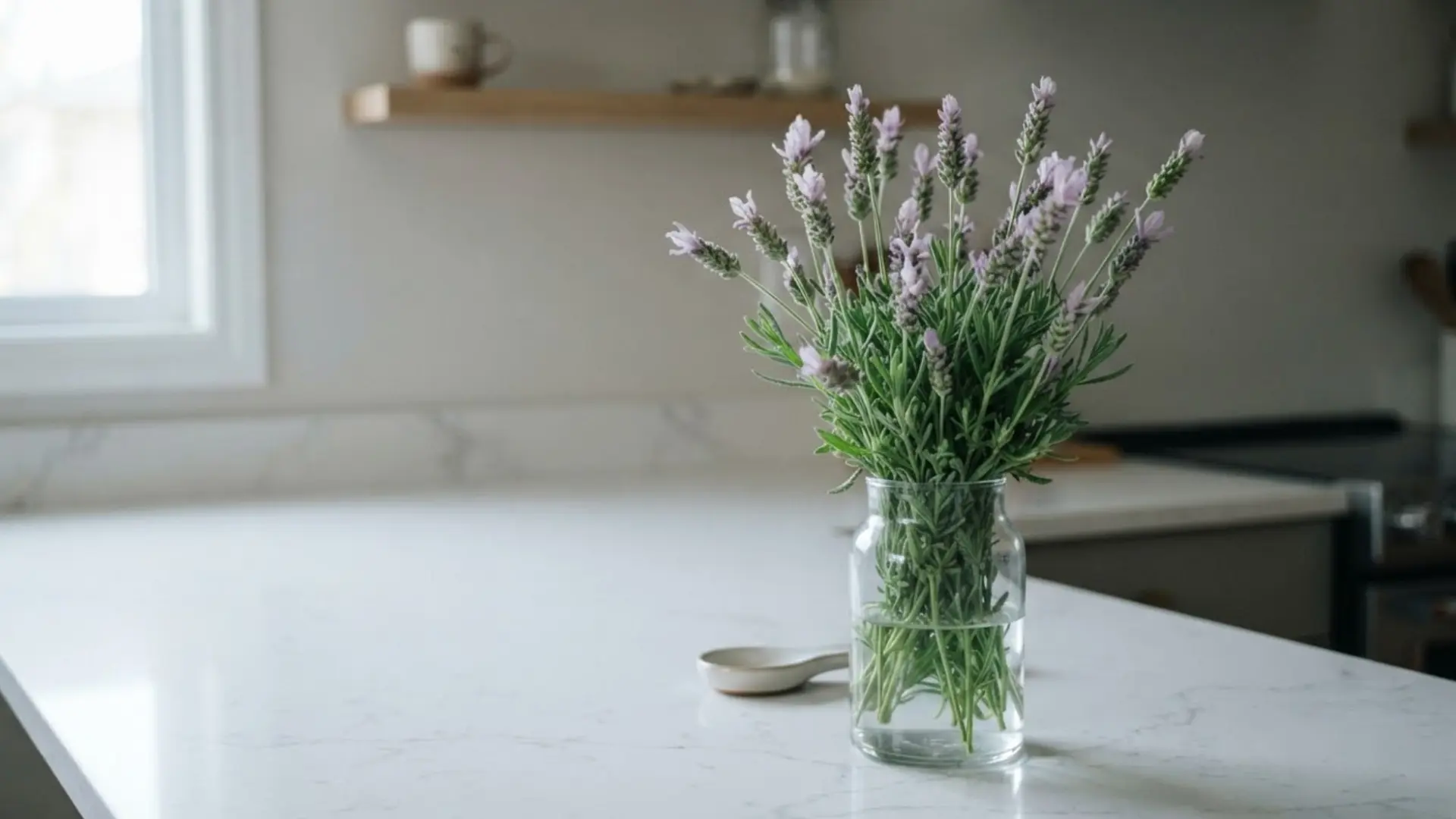 fresh lavender stems with pale purple blooms standing in a glass vase on a kitchen counter