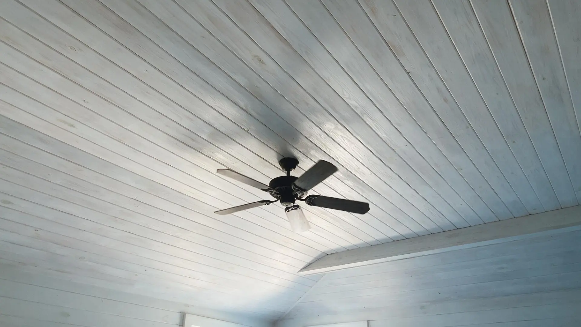 whitewashed wood plank vaulted ceiling with a black four blade ceiling fan mounted near the roof peak